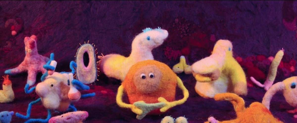 Hack Your Health: The Secrets of Your Gut