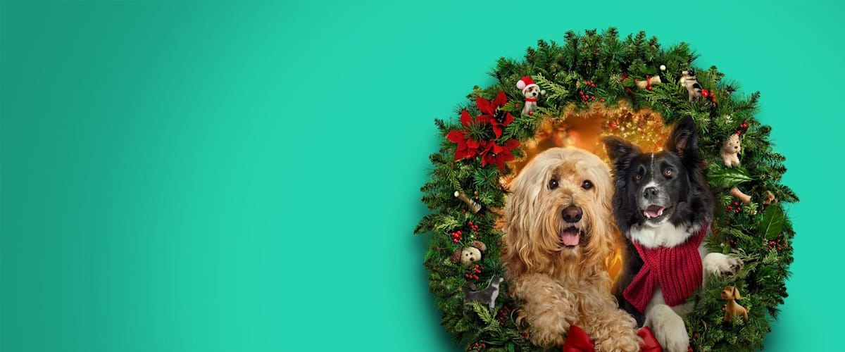 Watch Happy Howlidays