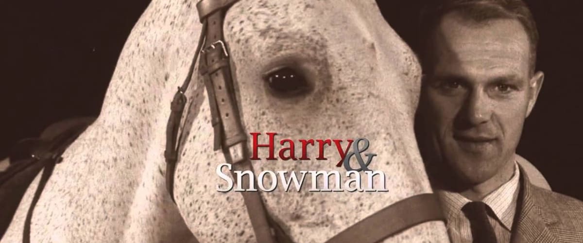 Watch Harry And Snowman