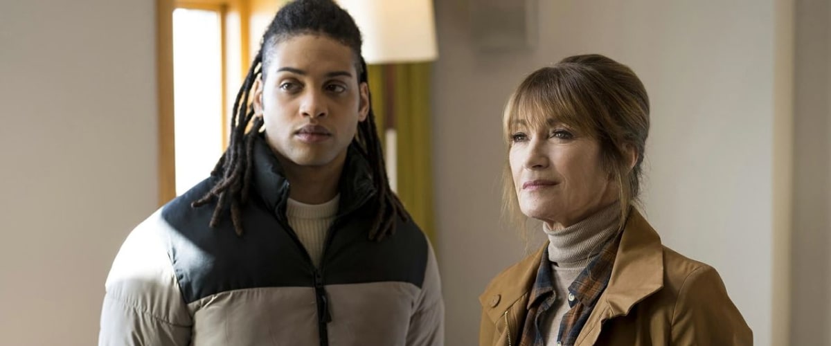 Harry Wild - Season 3