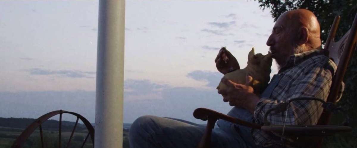 Watch High on the Hog