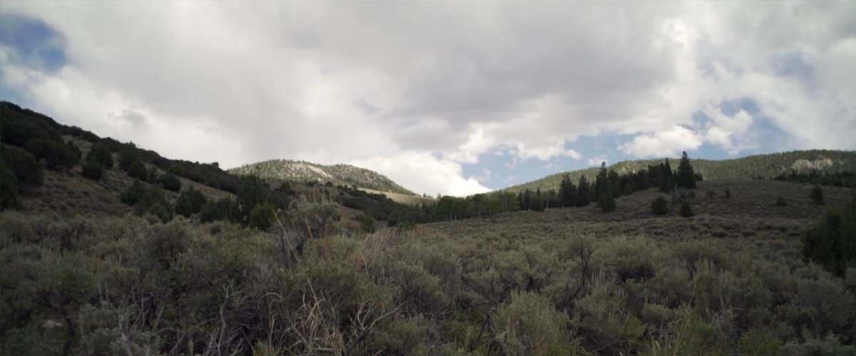 Horror in the High Desert