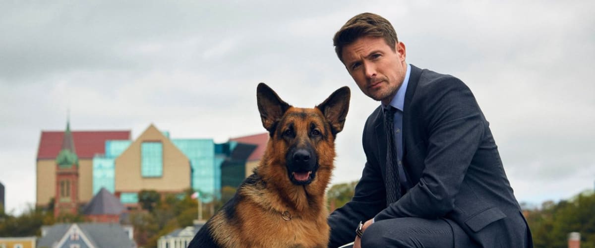 Hudson & Rex - Season 5