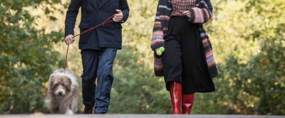 Watch I Want My Wife Back - Season 1