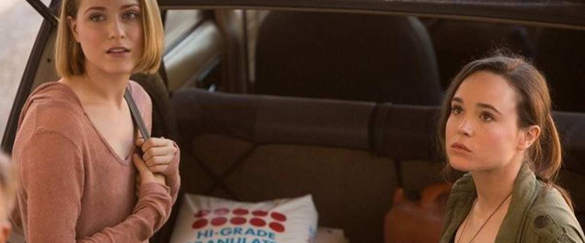 Watch Into the Forest