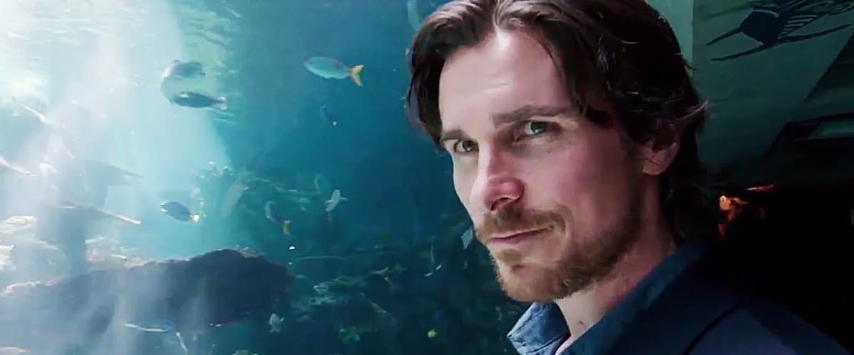 Watch Knight of Cups