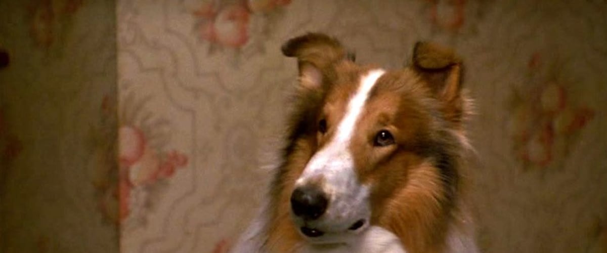 How to watch and stream Lassie - 1994 on Roku