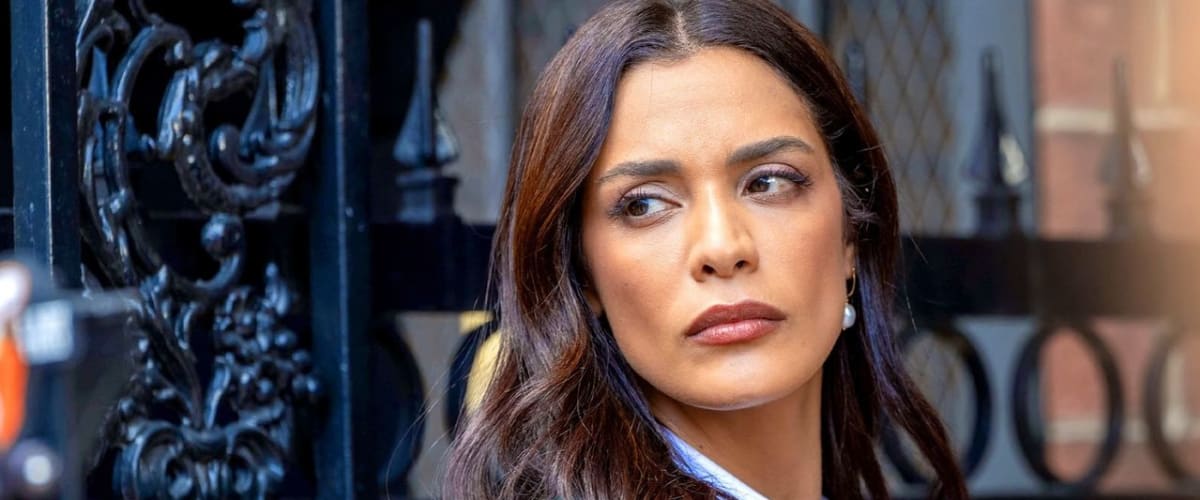 Watch Law & Order - Season 24