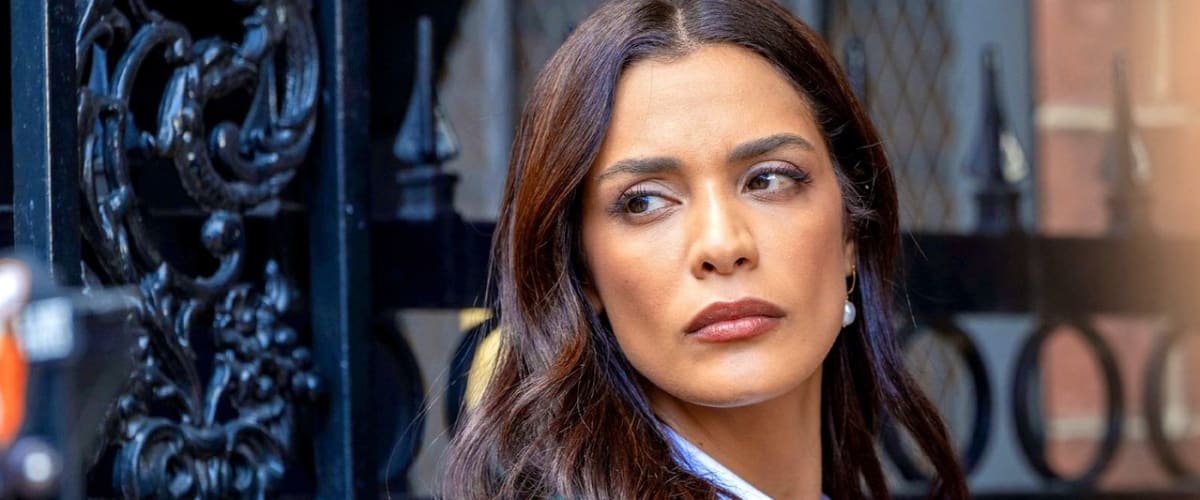 Law & Order - Season 25