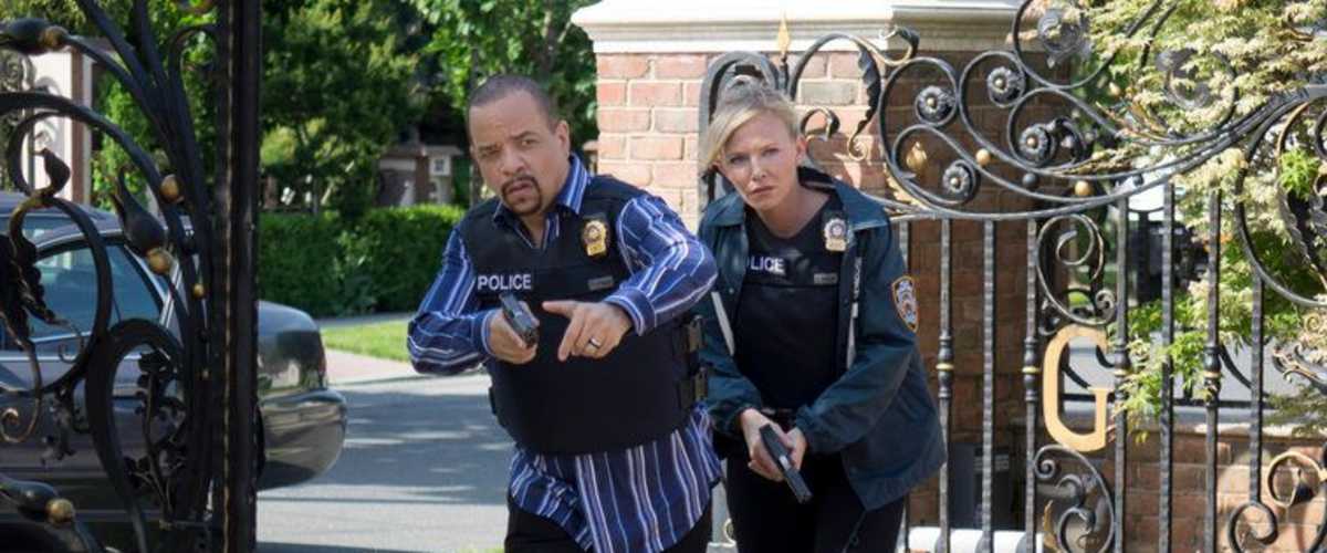 Law and order best sale svu season 17 123movies