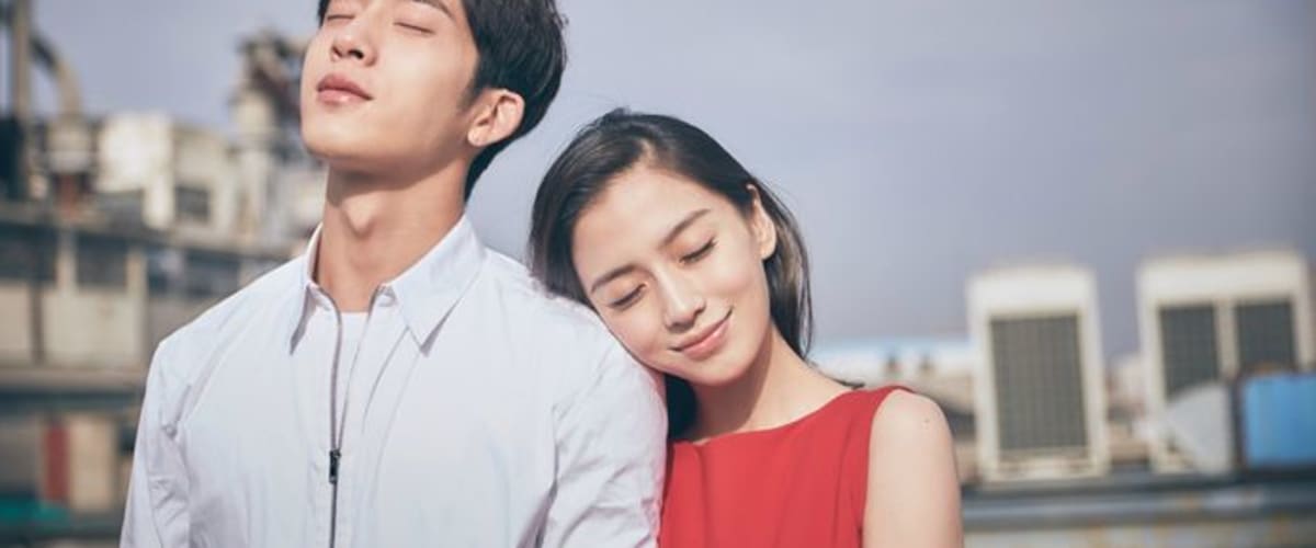 Watch Love O2O: The Movie