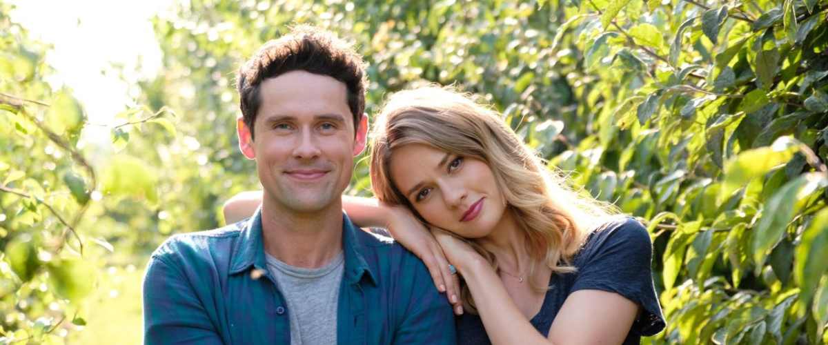 Love Under the Olive Tree