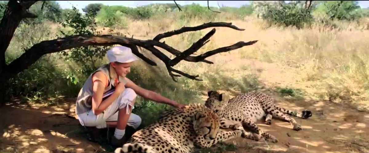 Watch Magic Journey to Africa