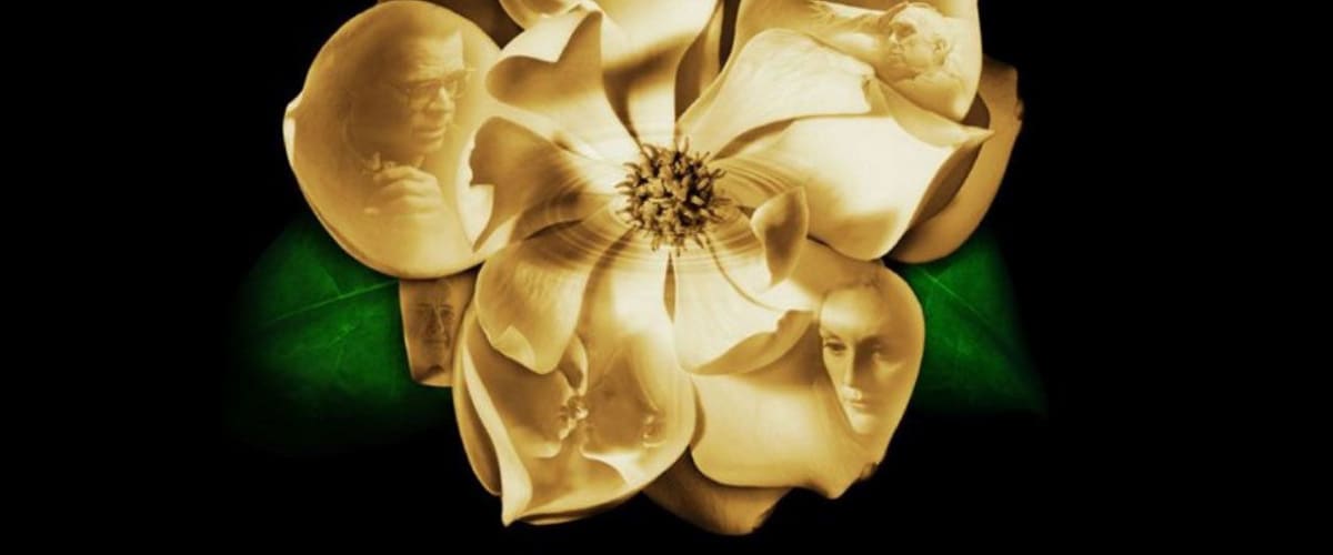 Watch Magnolia
