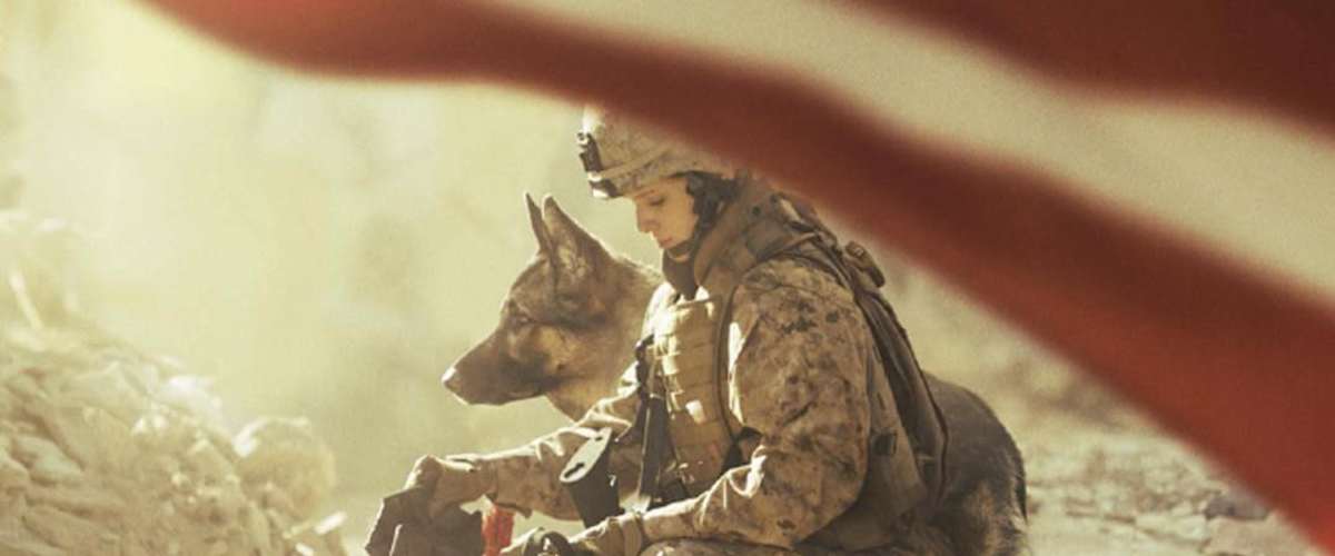 Watch Megan Leavey