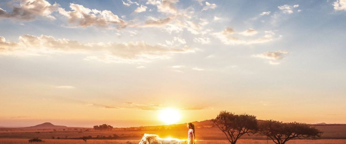 Watch Mia and the White Lion