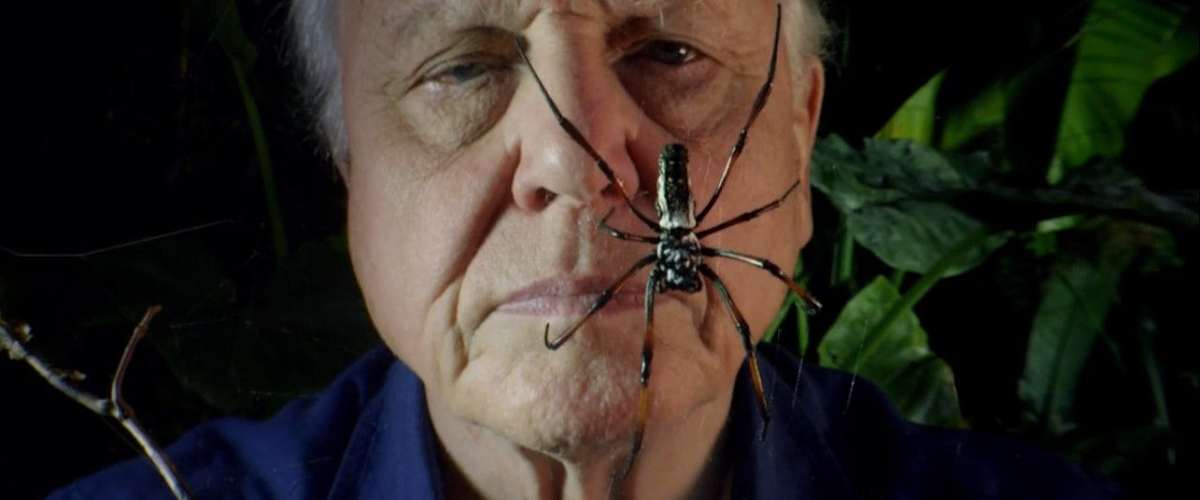 Micro Monsters with David Attenborough - Season 01