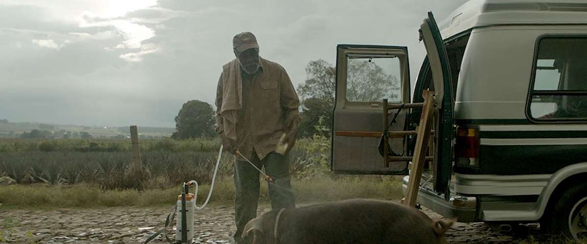 Watch Mr Pig