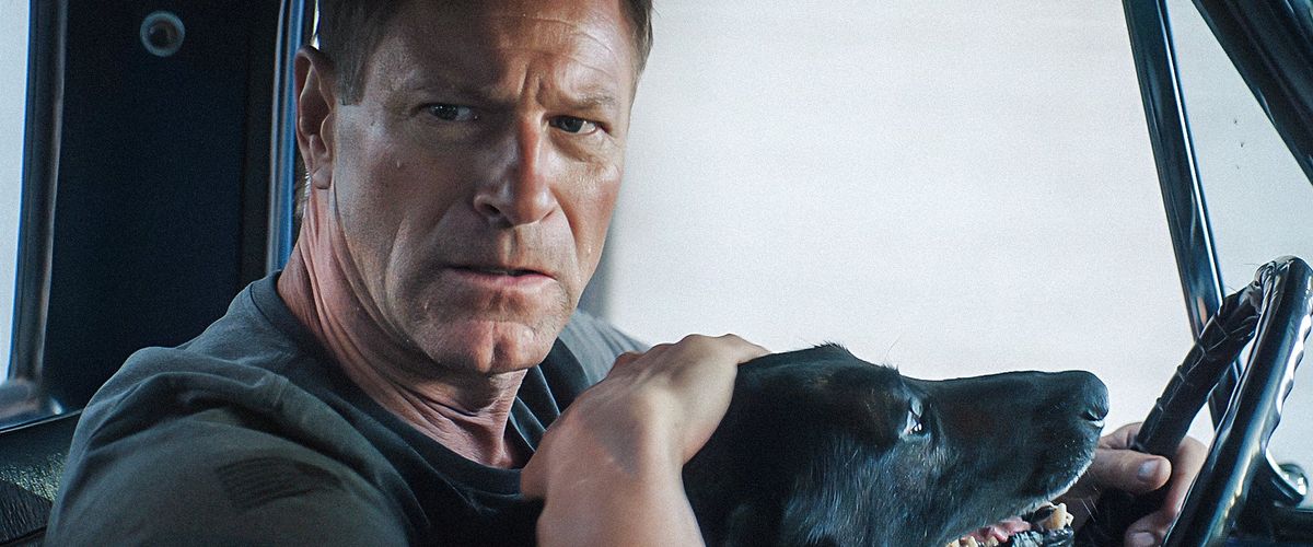 Watch Muzzle: City of Wolves