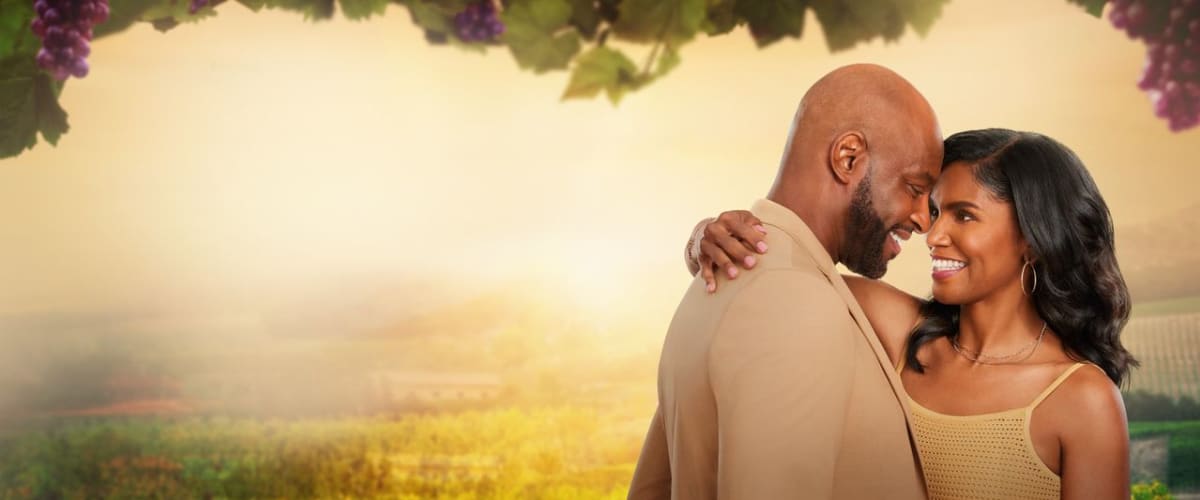 Watch Napa Ever After