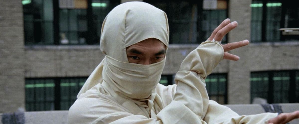 Watch New York Ninja