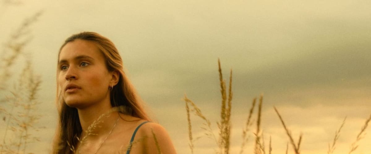 Watch One Day We'll Tell Each Other Everything