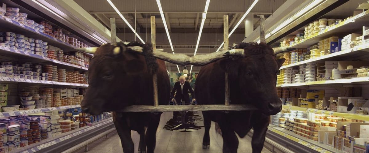 Onirica: Field of Dogs