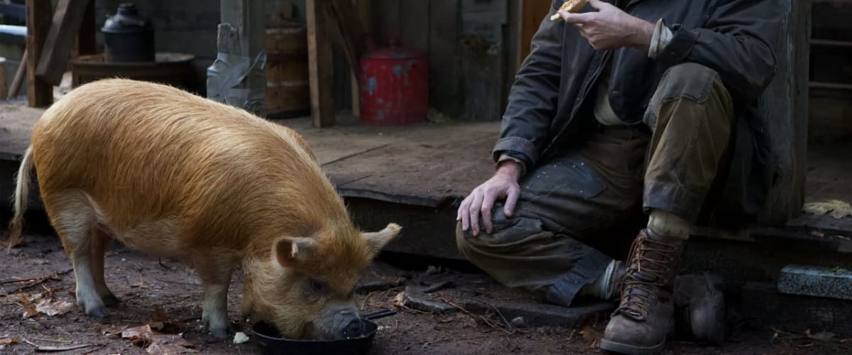 Watch Pig