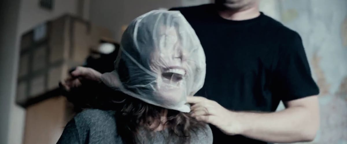 Watch Pitbull New orders