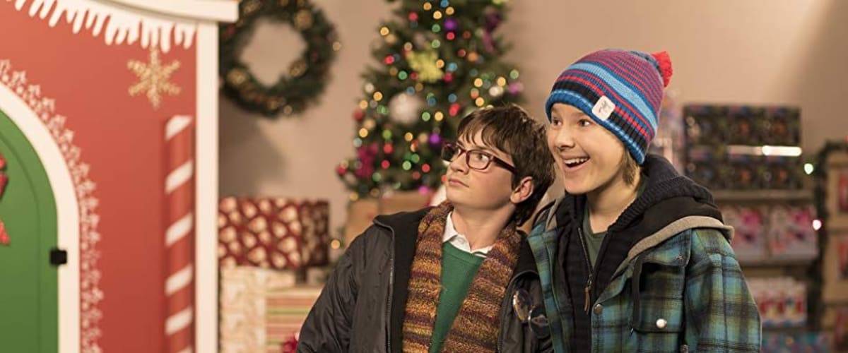 Poinsettias for Christmas