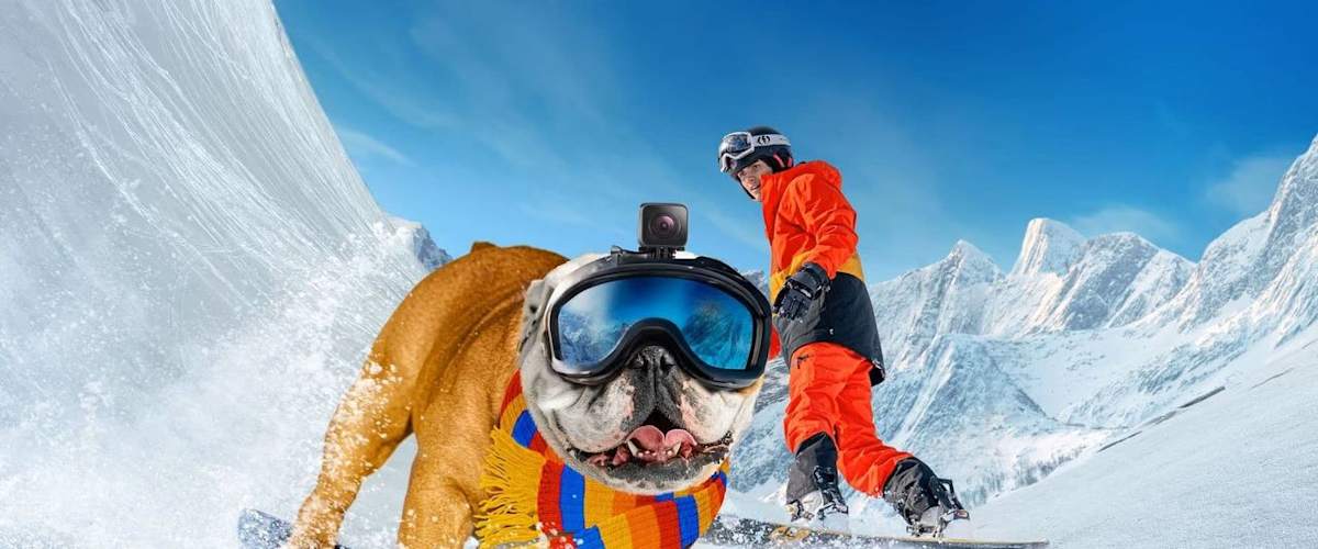 Watch Powder Pup