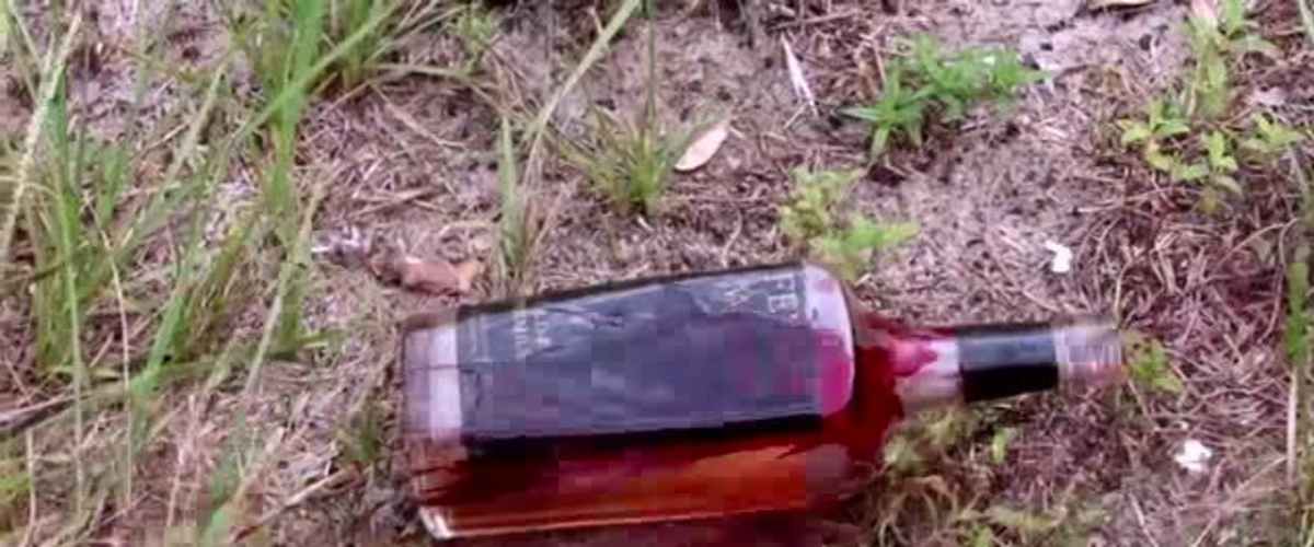 Watch Predatory Moon