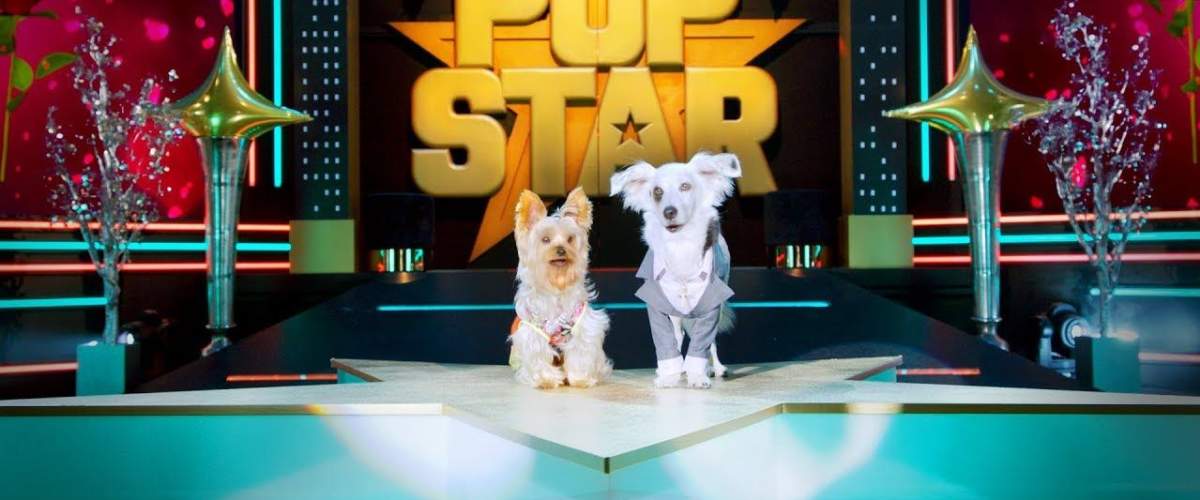 Watch Pup Star