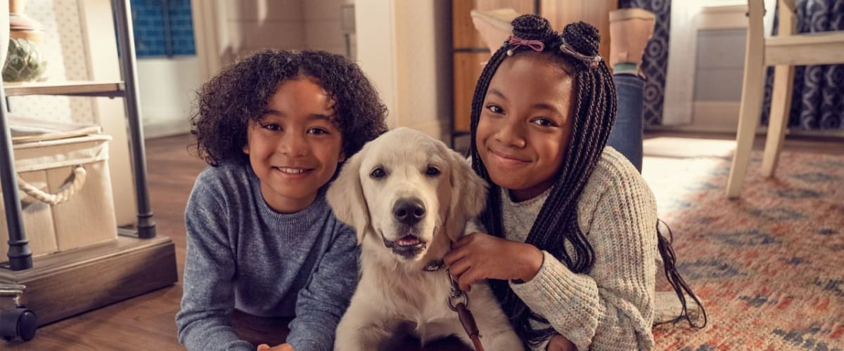 Watch Puppy Place - Season 1