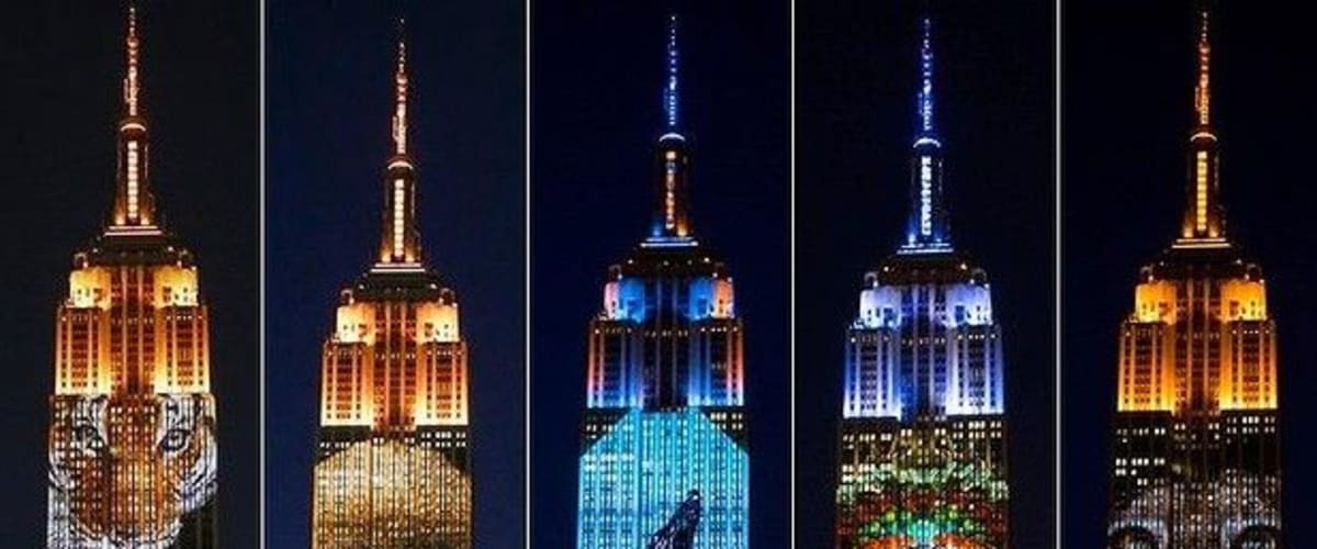 Watch Racing Extinction
