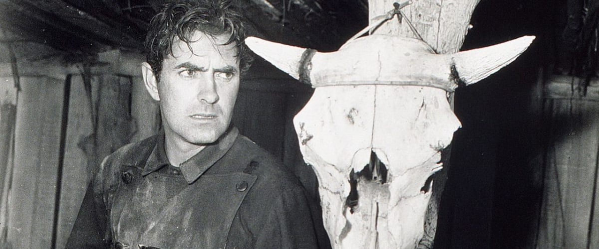 Watch Rawhide - Season 5