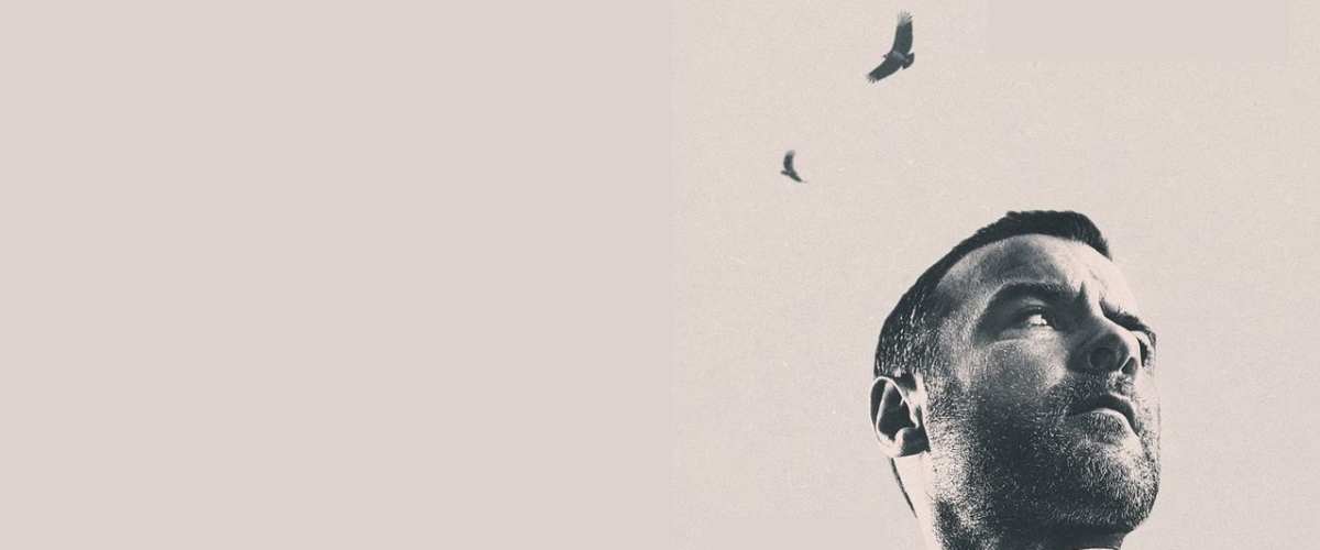 Ray Donovan: The Movie