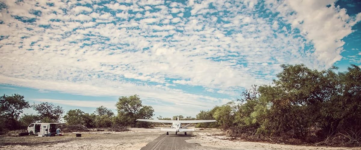 Robin: Watch for Wishes