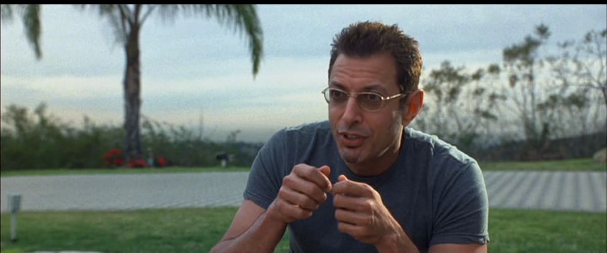 Watch Run Ronnie Run