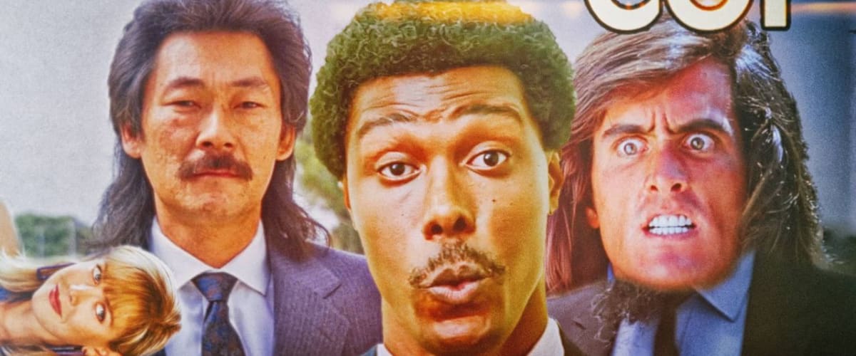 Samurai Cop