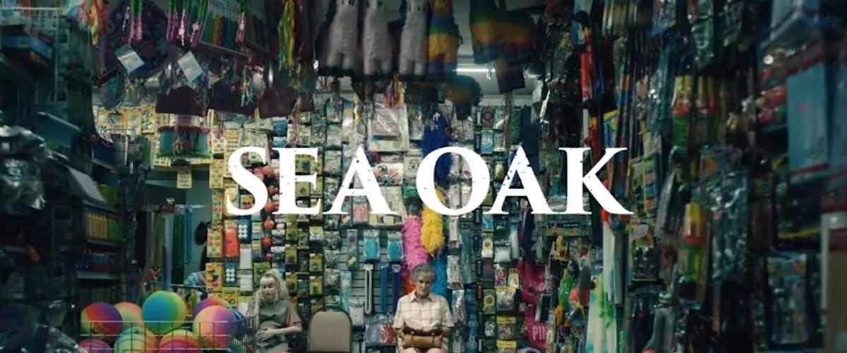 Sea Oak - Season 01