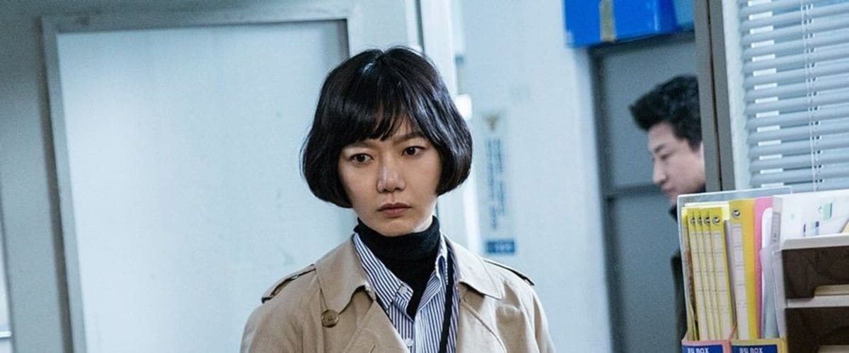 Watch Secret Forest