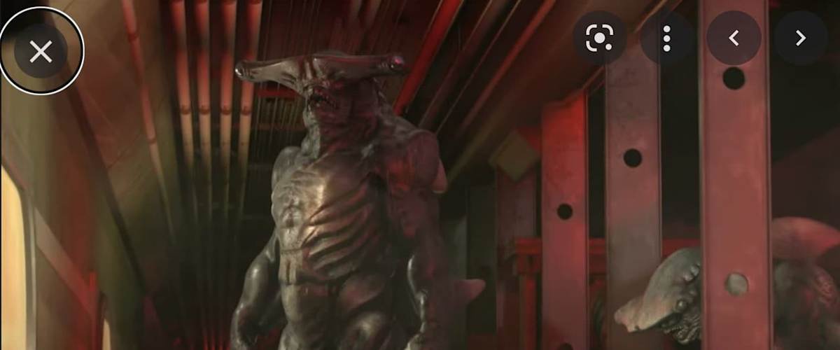 Shark Side of the Moon