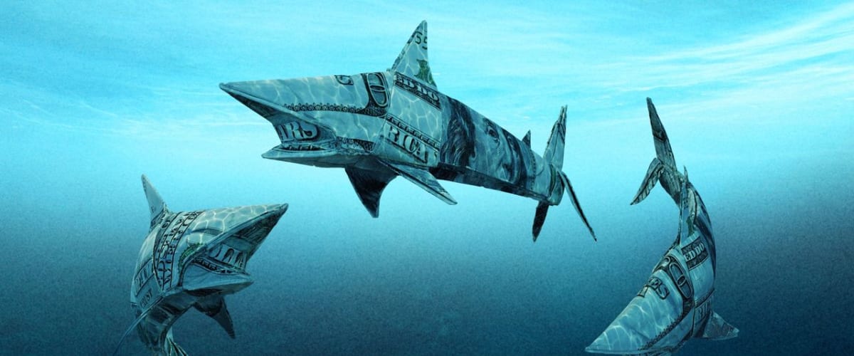 Watch Shark Tank - Season 11