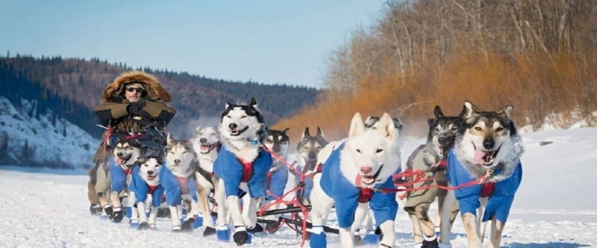 Watch Siberian Odyssey