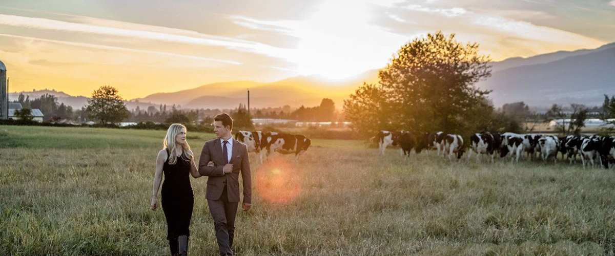 Watch Signed, Sealed, Delivered: Home Again