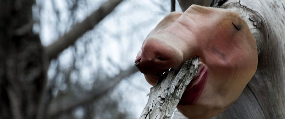 Something in the Woods