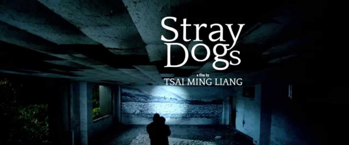 Stray Dogs