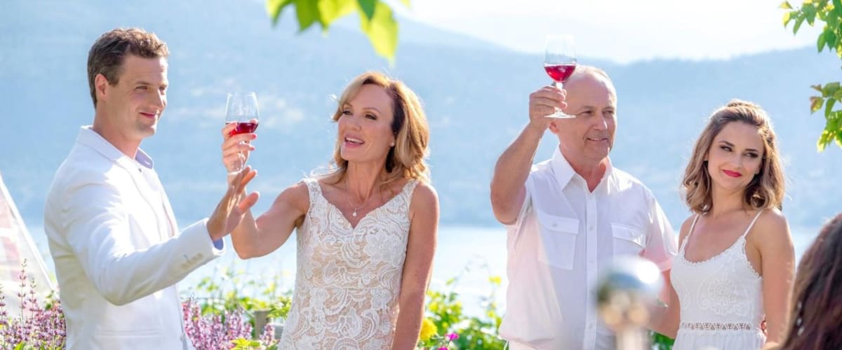 Summer in the Vineyard