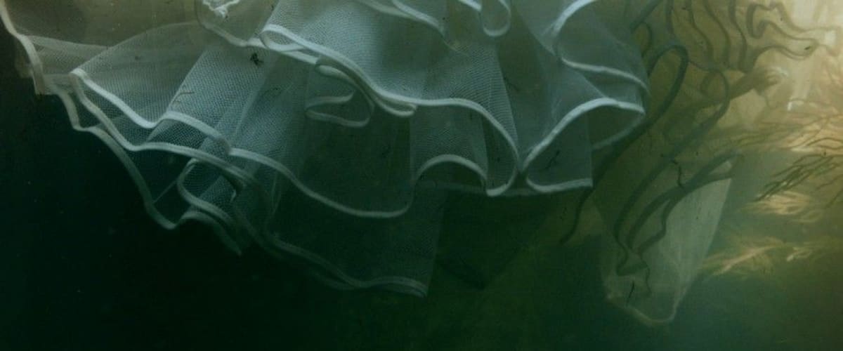 Swamp Murders - Season 5